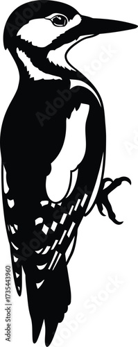 Adobe Illustrator Artwork Woodpecker Silhouette in Vertical Perch on White Background