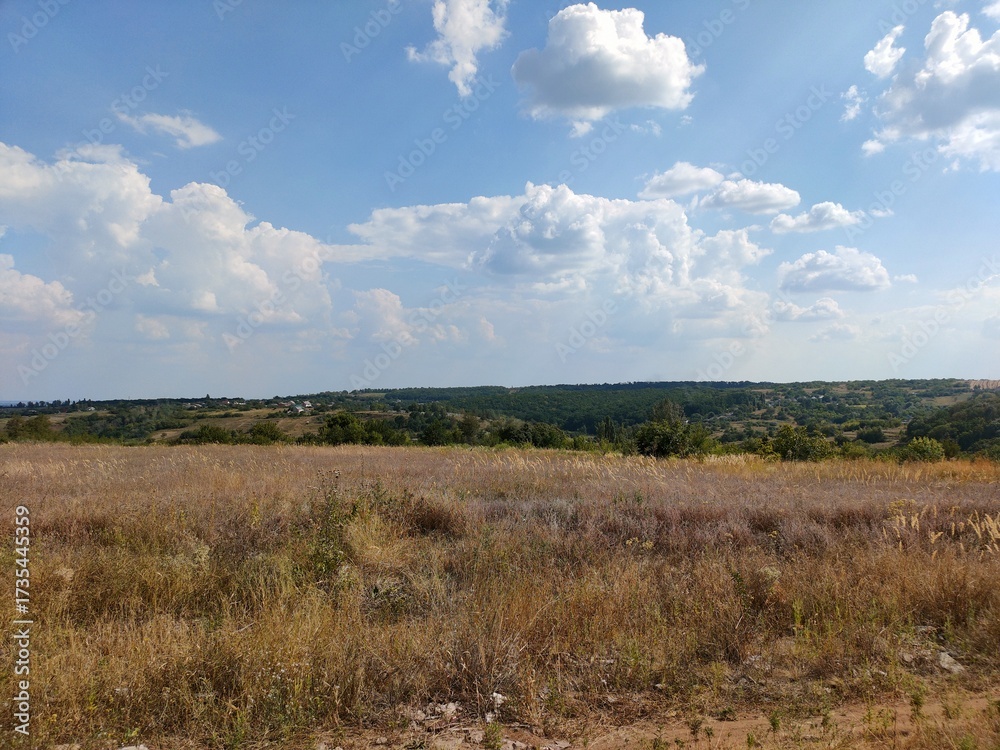 Obraz premium clouds over the forest