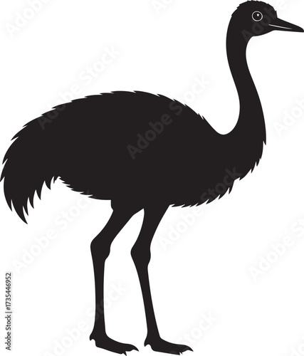  Minimal Ostrich Shape Vector Illustration
