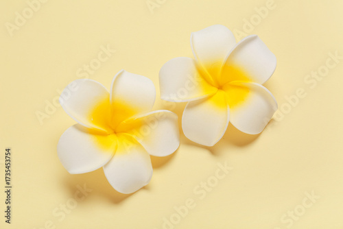 Beautiful plumeria flowers on yellow background