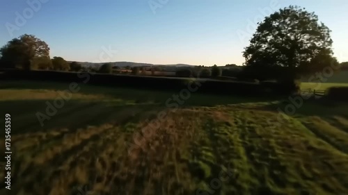 Aerial view of open field with tall grass and trees under a clear blue sky during daylight