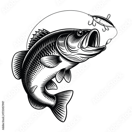 Largemouth bass leaping out of water to catch lure