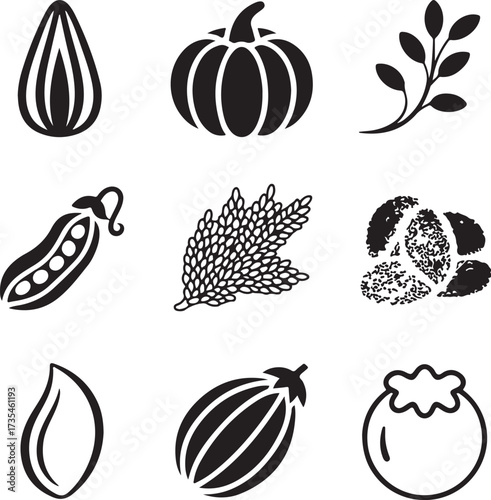 Nine detailed organic seed icons with transparent background vector