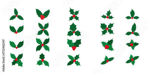 Christmas Holy Leaf