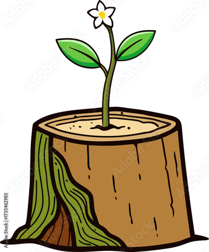 A small green plant with a white flower growing from the center of a brown tree stump, symbolizing new life and regrowth.