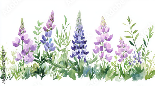 Beautiful watercolor illustration of purple and lavender lupine flowers surrounded by green foliage, evoking serene and natural atmosphere
