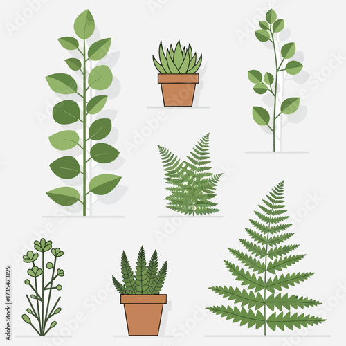 Collection of various potted plants and ferns rendered in a minimalist flat design style with shadow effects