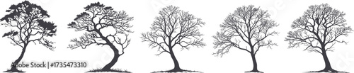 Collection of detailed tree silhouettes in various natural shapes. Elegant black vector illustrations for landscapes, design, and creative artworks. Ideal for nature-inspired projects.