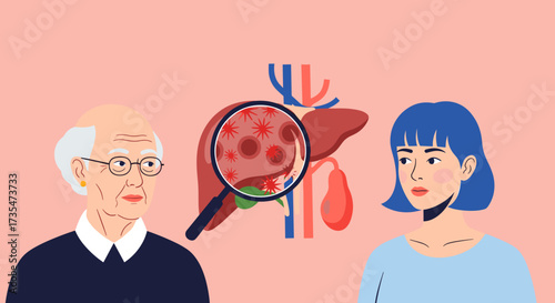 Understanding liver health and potential disease progression in different age groups.