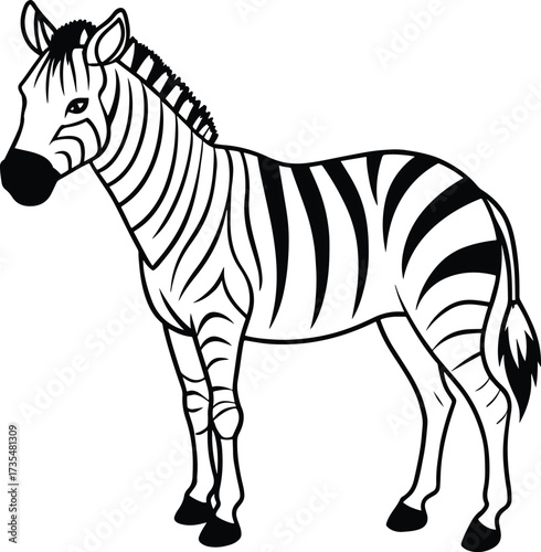 realistic zebra full body
