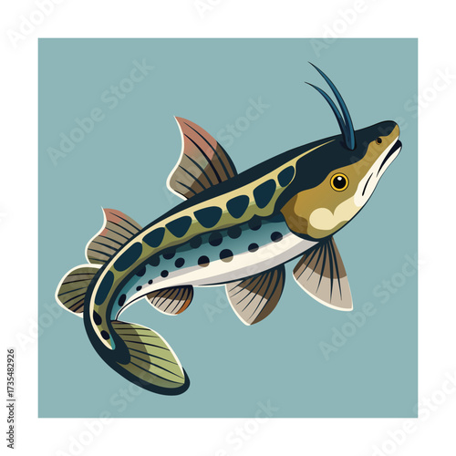 Stylized illustration of a catfish with barbels Keywords: catfish, fish, illustration, aquatic