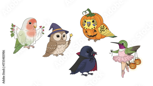 Festive feathered friends: charming illustrations of diverse birds dressed in whimsical costumes perfect for celebrations.