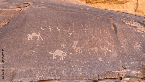 Photos Ancient petroglyphs carved into the sandstone rock face in Wadi Rum, Jordan, depicting camels, human figures, and other animals