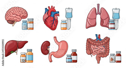 Medical illustration depicting various human organs with accompanying medication bottles and IV drips.