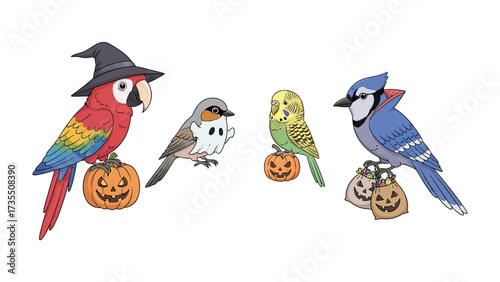 Halloween Birds Gathering: Playful illustrations of colorful birds, including a parrot, robin, and blue jay, adorning Halloween costumes and perching on carved pumpkins.