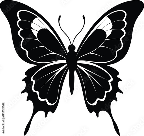Black butterfly with white outlines and wing details