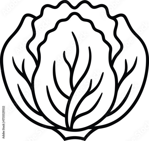 Simple Black and White Line Art Illustration of a Fresh Cabbage Head