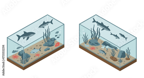 Isometric aquarium design with diverse fish and aquatic plants