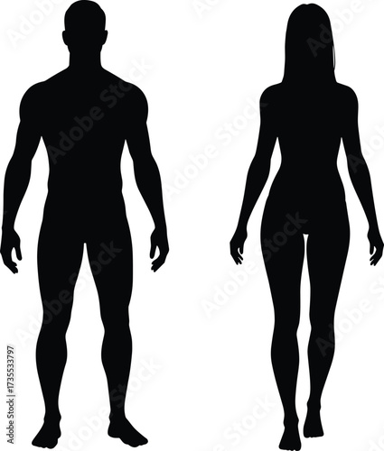 Male and female human body silhouette, fitness anatomy vector, medical health illustration, man woman figure outline, body shape design