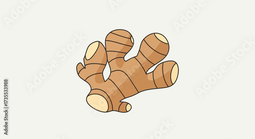 A stylized illustration of a ginger root on a plain background.