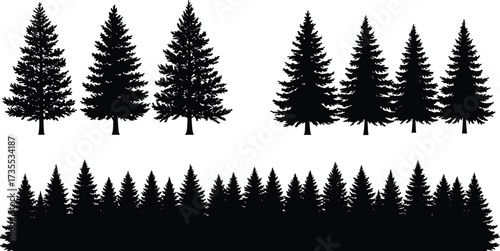 Pine tree forest silhouette, evergreen conifer trees vector, black tree outline illustration, woodland nature background, landscape design isolated graphic