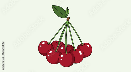 Bunch of ripe red cherries with green leaves against a light background.