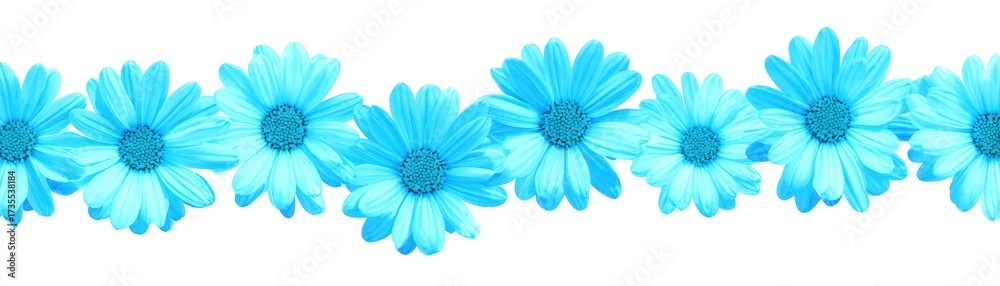 Fototapeta premium Bright Blue Flower Border with Realistic Detailed Blooming Daisy Pattern for Floral Design Artistic Element and Nature Inspired Decoration