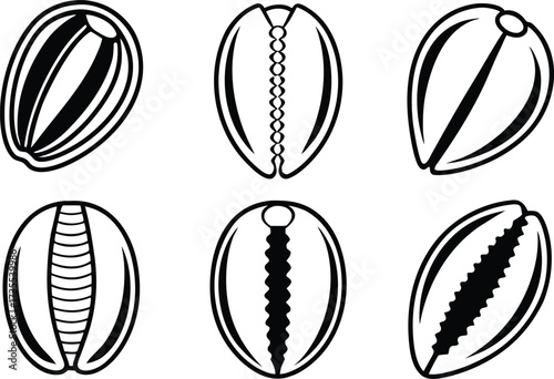 cowrie, shell, icon, set, outline, sea, ocean, african, culture, money, currency, history, ancient, traditional, spiritual, symbol, sign, nature