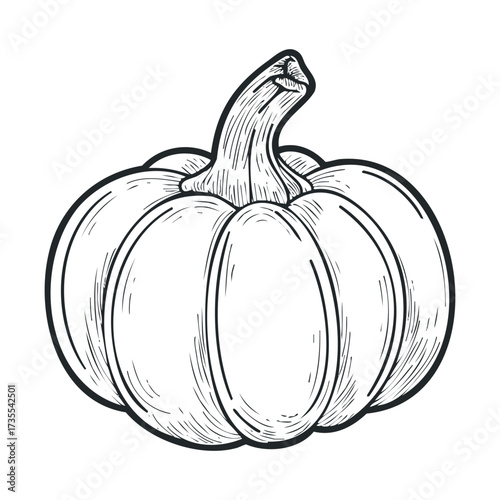 Pumpkin design for autumn celebrations and seasonal decor. Vector hand drawn illustration