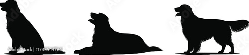 Dog silhouette poses, sitting dog, lying dog, standing dog, black vector illustration, pet icons, flat design, isolated artwork, flat vector illustration