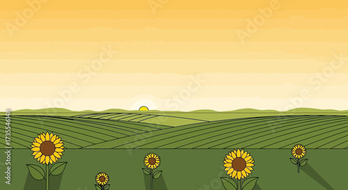 Field of sunflowers under a warm sunrise sky.