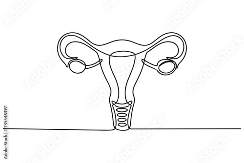 Continuous one line drawing of female reproductive uterus and women's day vector illustration. one line Icon drawing with white background