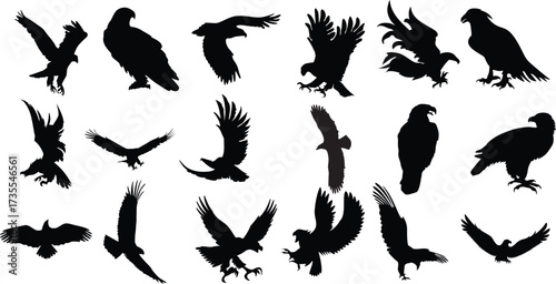 set of eagle silhouette fliying bird silhouette isolated vector illustration