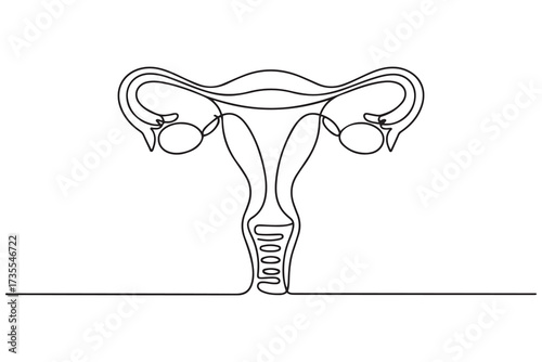 Continuous one line drawing of female reproductive uterus and women's day vector illustration. one line Icon drawing with white background