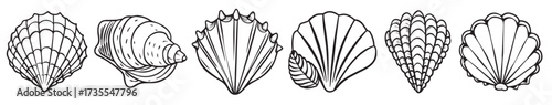 set of hand drawn seashells isolated vector illustration