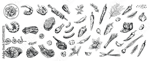 Set of hand-drawn sketches of barbecue and picnic elements, meat on chalkboard background. For the design of the menu, grilled food. Doodle vintage illustration. Engraved image.