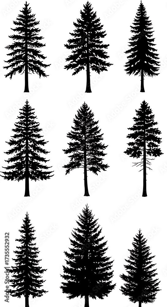 Obraz premium Evergreen Silhouettes