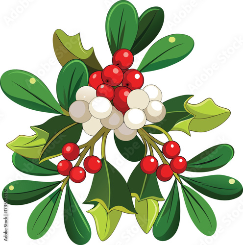 Christmas Mistletoe Bundles delicate green foliage with white berry cluster