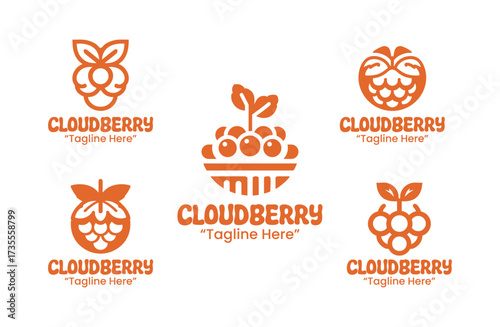 5 Cloudberry Logo Set Berry Fruit Branding Logo Collection