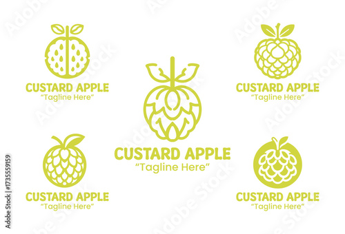 5 Custard Apple Logo Set Tropical Fruit Branding Logo Collection