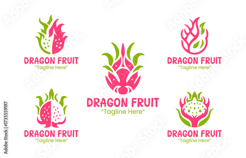 5 Dragon Fruit Logo Set Tropical Fruit Branding Logo Collection