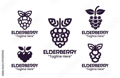 5 Elderberry Logo Set Berry Fruit Branding Logo Collection