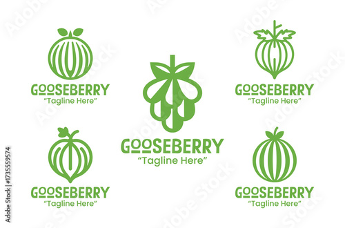 5 Gooseberry Logo Set Berry Fruit Branding Logo Collection