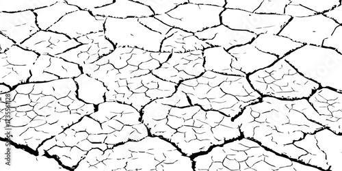 High contrast cracked dry earth texture background, abstract black and white pattern with natural fissures and rough surface design, perfect for grunge, rustic, and organic creative projects.