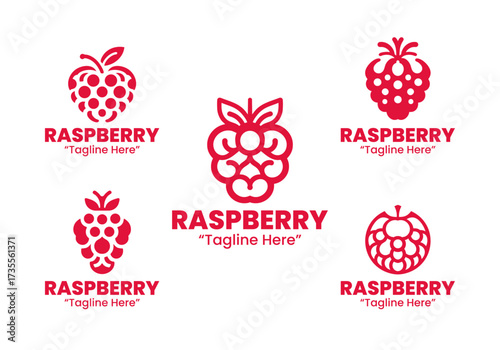 5 Raspberry Logo Set Berry Fruit Branding Logo Collection