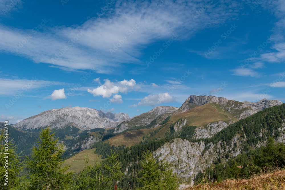Fototapeta premium Alpine forest landscape with panoramic view towards Mount Jenner in the Berchtesgadener Alps