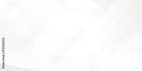 Modern white gradient color background with curve and swirl lines abstract art modern design