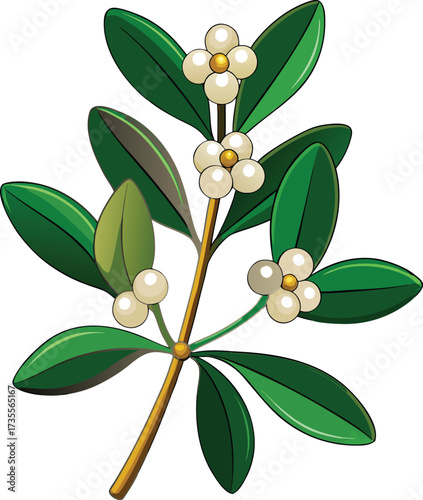 Christmas Mistletoe Bundles natural foliage cluster with white berry decoration