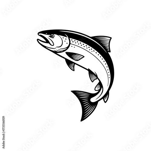 Illustration of a salmon isolated on white background. Design element for emblem, sign, poster, badge. Vector illustration