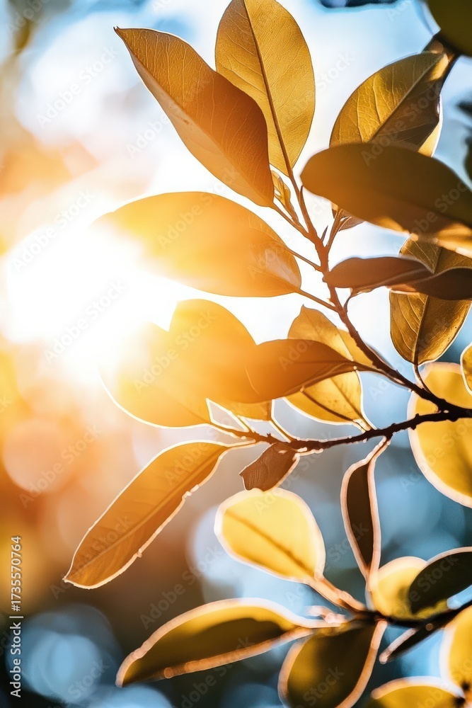 Obraz premium The blazing sun shining through the leaves of a tree in a summer forest, styled for warmth